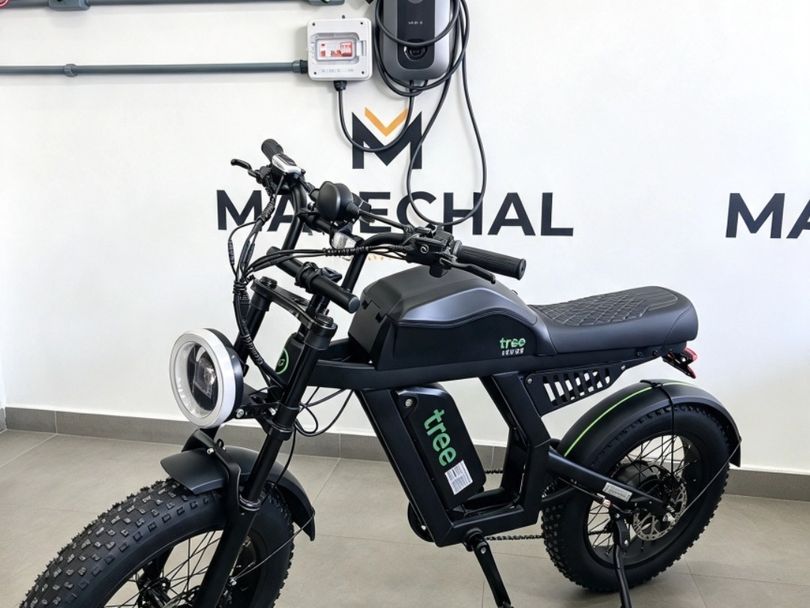 BEE BIKE REBEL ARO 20 1000W