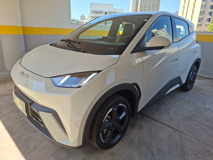 BYD Dolphin Mini GS (Elétrico)
