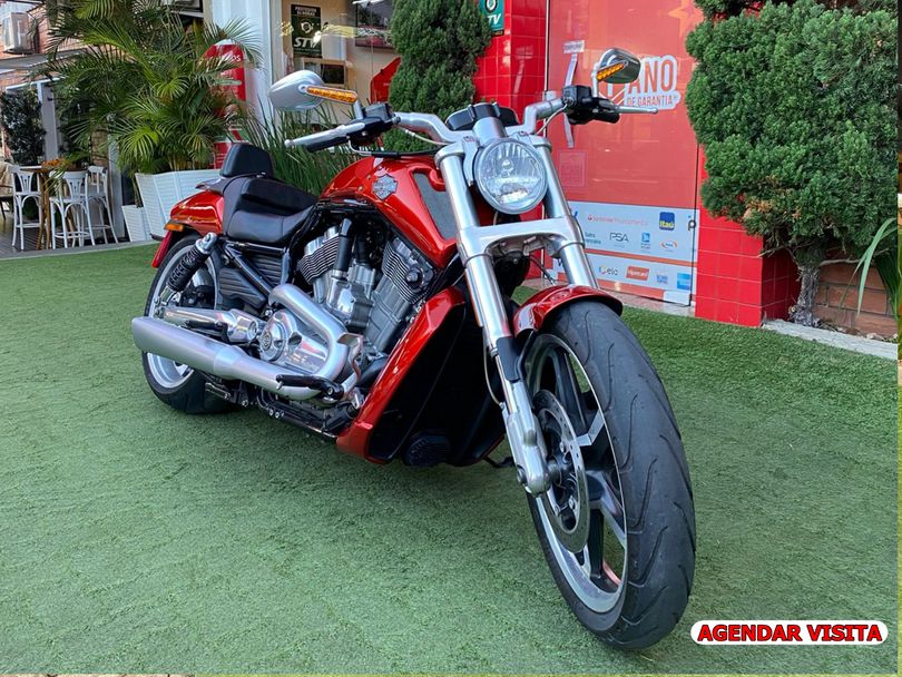 Harley V-ROD 1250cc MUSCLE VRSCF