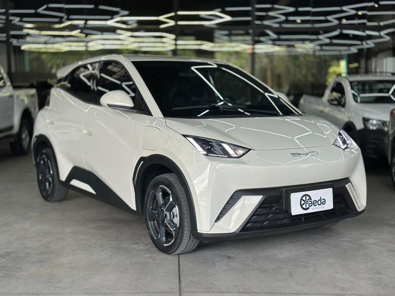 BYD Dolphin Mini (Elétrico)