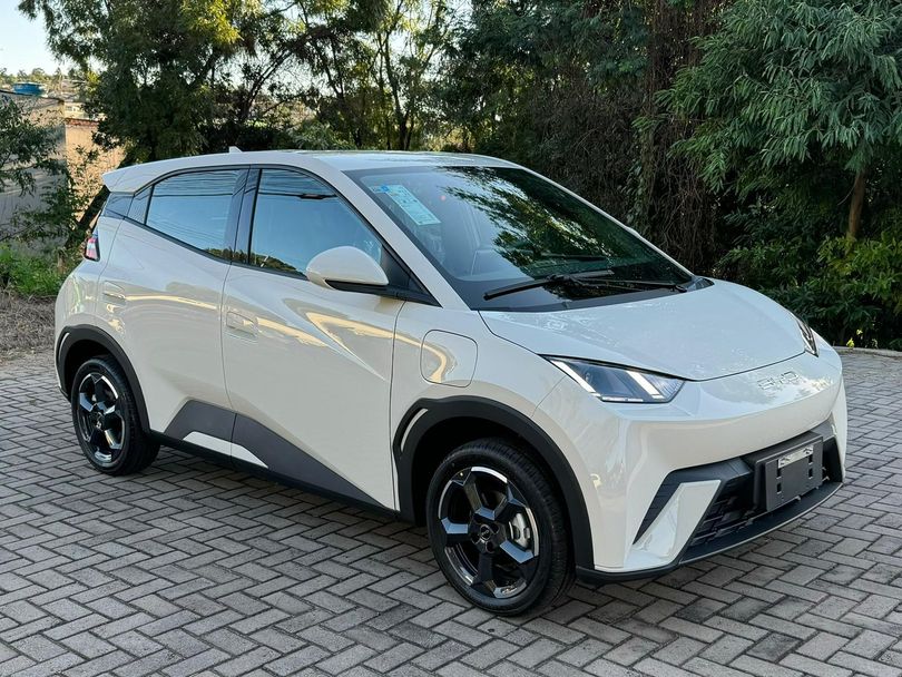 BYD Dolphin Mini (Elétrico)