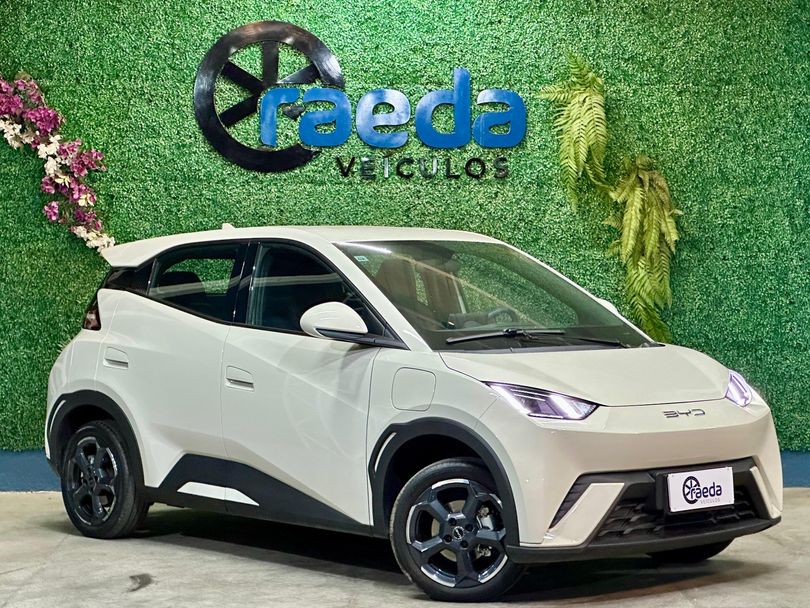 BYD Dolphin Mini (Elétrico)