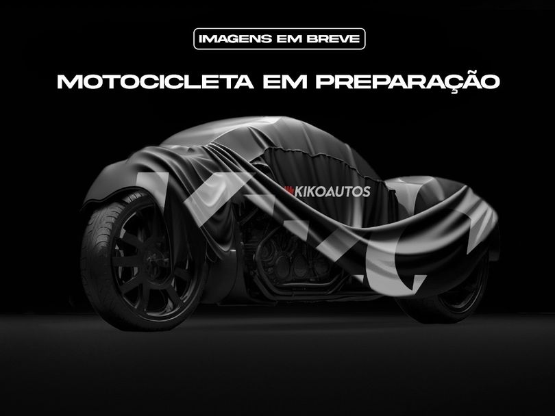 BMW G 310 GS