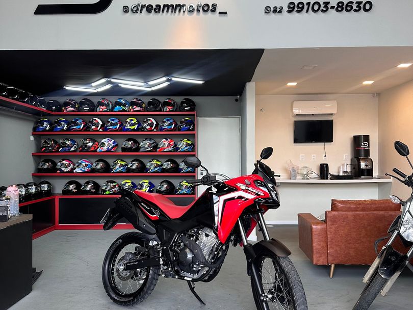 HONDA SAHARA 300 RALLY ABS FLEX