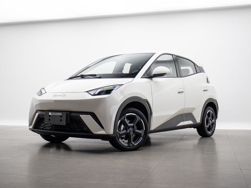 BYD Mini Dolphin
