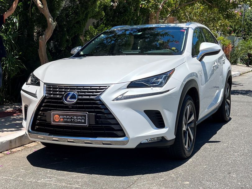 Lexus NX-300h Luxury 2.5 16V Aut.(Hybrid)