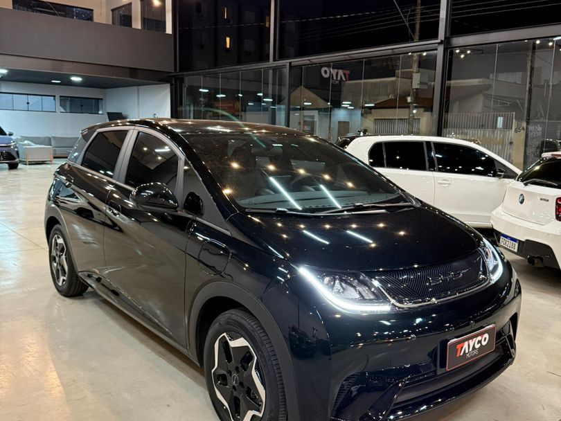BYD Dolphin EV (Eltétrico)