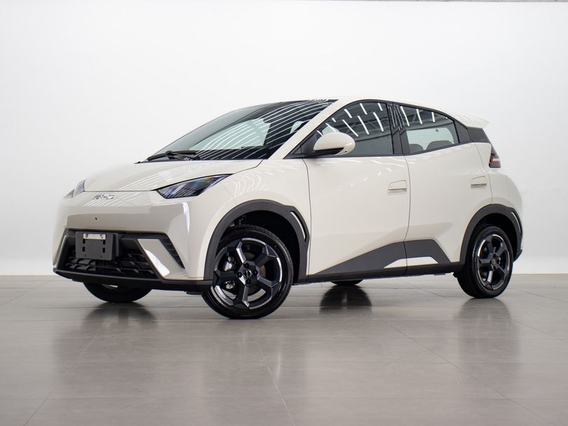 BYD Dolphin Mini (Elétrico)
