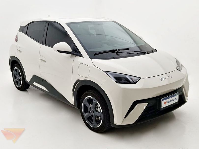 BYD Dolphin Mini (Elétrico)