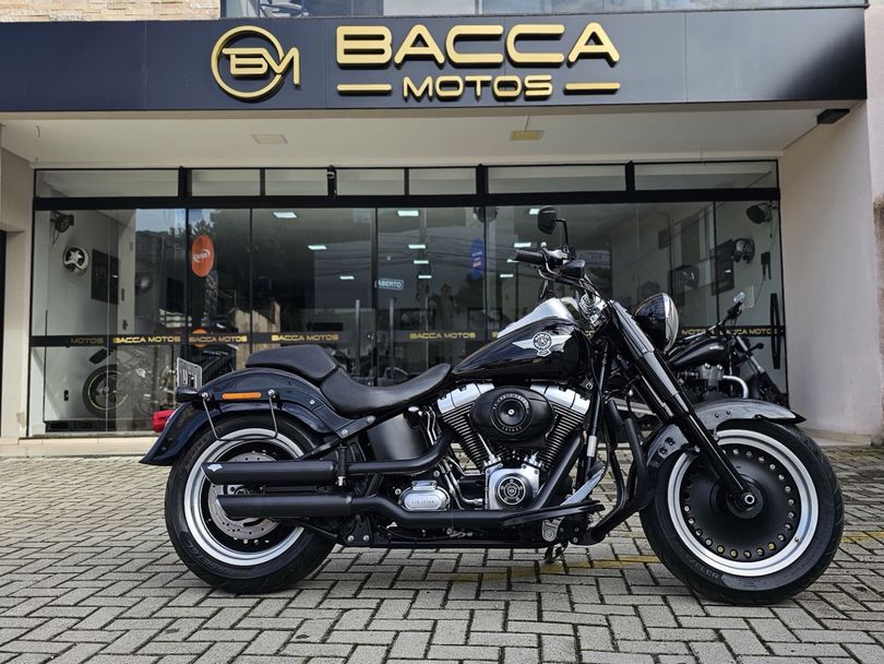 Harley FAT BOY LOW/ SPECIAL FLSTFB