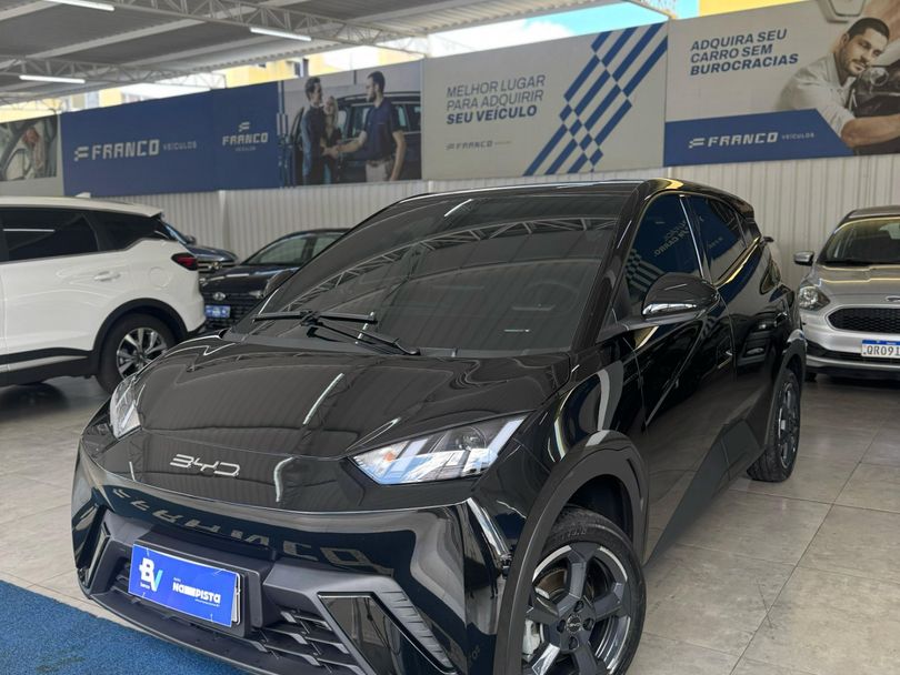 BYD Dolphin Mini (Elétrico)