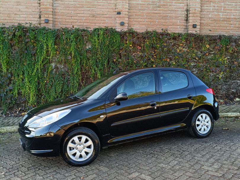 Peugeot 207 Blue Lion 1.4 Flex 8V 5p