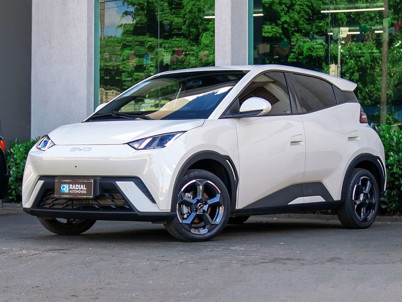 BYD Dolphin Mini (Elétrico)