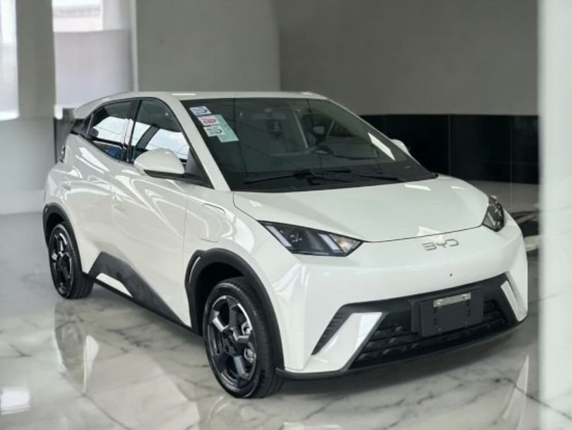 BYD 38 KW ELÉTRICO 5L