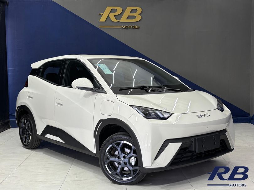 BYD Mini (Elétrico)