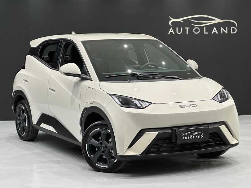 BYD Dolphin Mini (Elétrico)