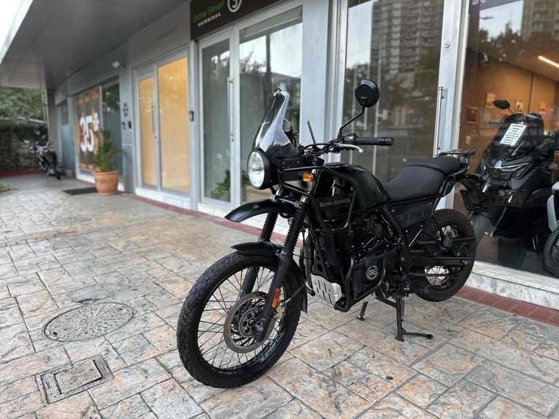 REGAL RAPTOR HIMALAYAN