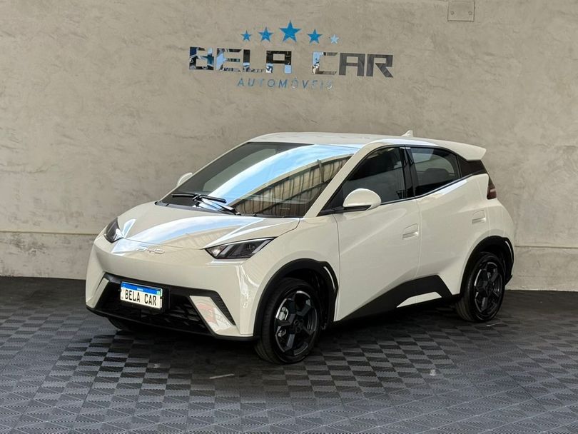 BYD Dolphin Mini (Elétrico)