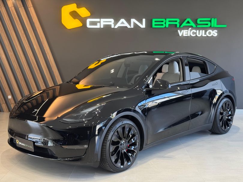 Tesla MODEL Y LONG R P