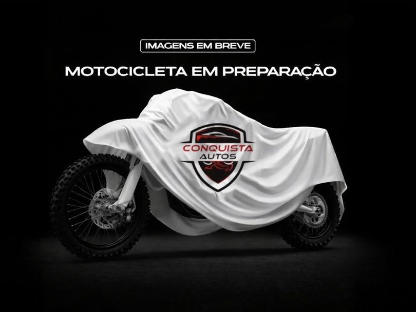 HONDA XRE 300 RALLY FLEX