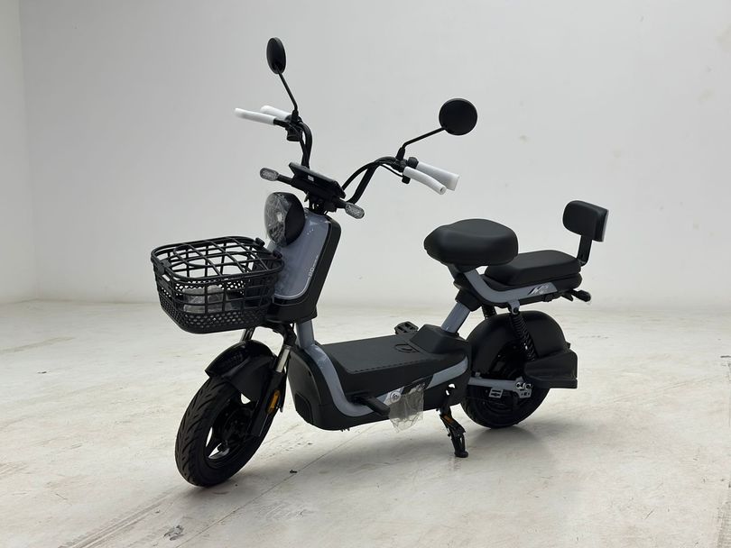 Panda SCOOTER ELÉTRICA PANDA J10 - 800W