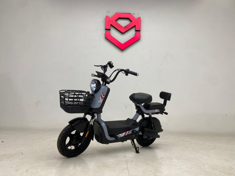 Panda SCOOTER ELÉTRICA PANDA J10 - 800W