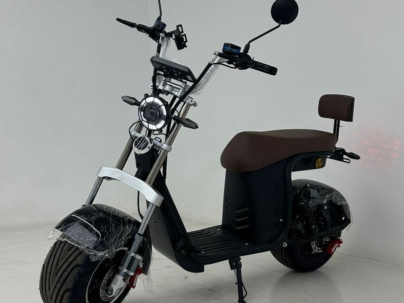 Panda SCOOTER ELÉTRICA PANDA R 13 - 1000W