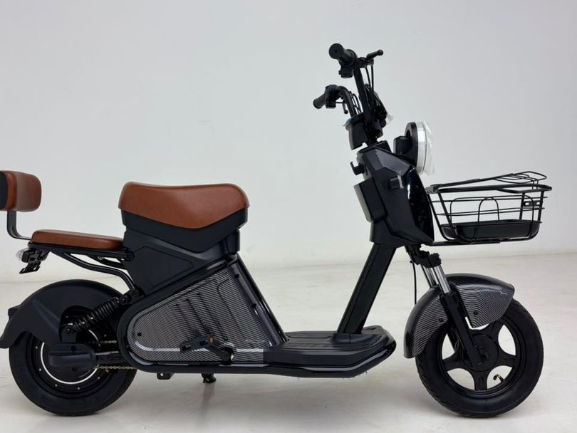 Panda SCOOTER ELÉTRICA PANDA W D 2 - 1000W