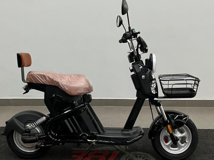 BIKE ELETRICA WD-2S 01