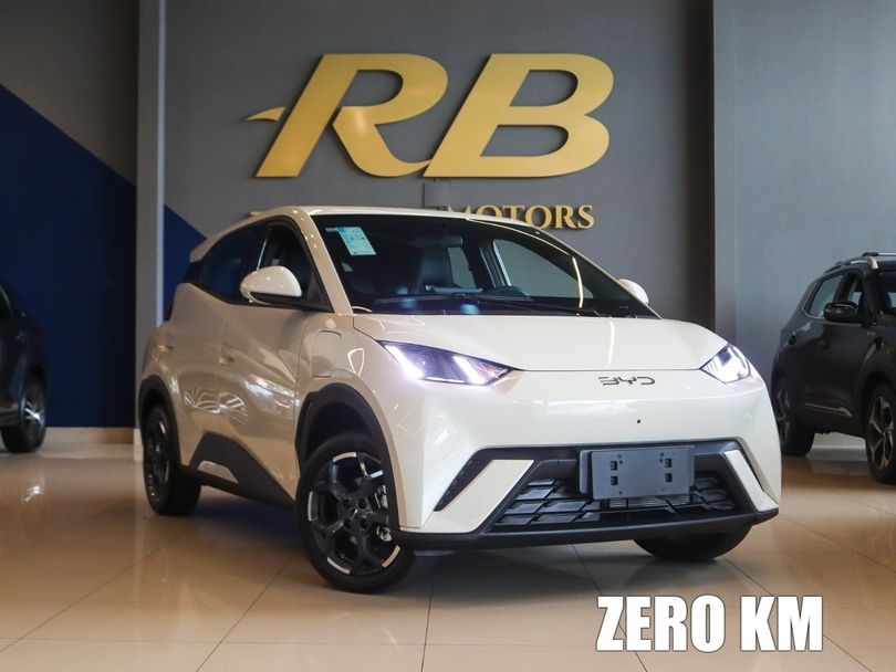 BYD Dolphin Mini (Elétrico)