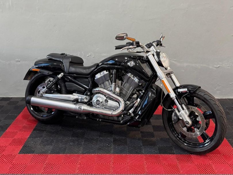 Harley V-ROD 1250cc MUSCLE VRSCF