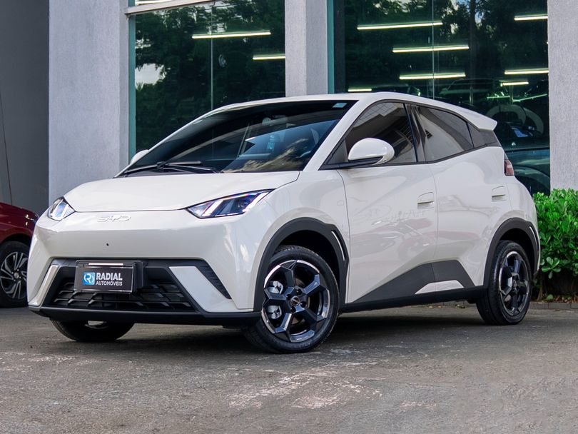 BYD Dolphin Mini (Elétrico)