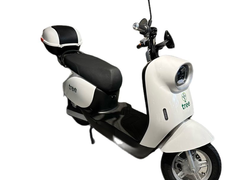 TREE AUTOPROPELIDO MOTORINO 1000W 