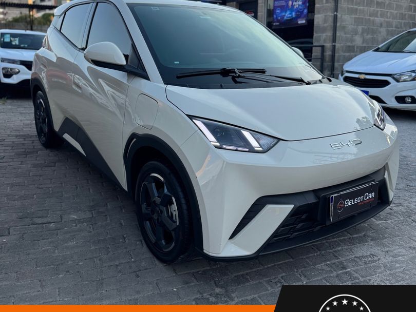 BYD Dolphin Mini (Elétrico)