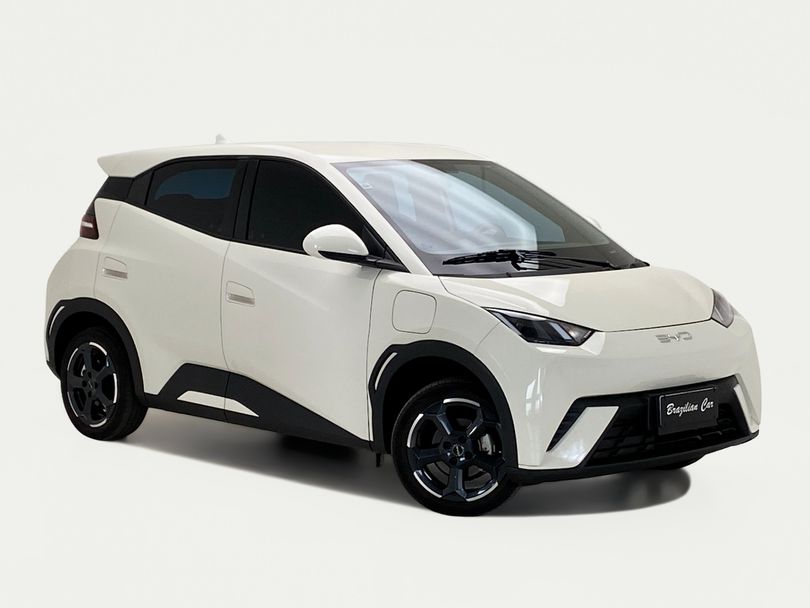 BYD Dolphin Mini (Elétrico)