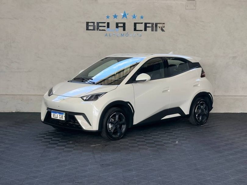 BYD Dolphin Mini (Elétrico)
