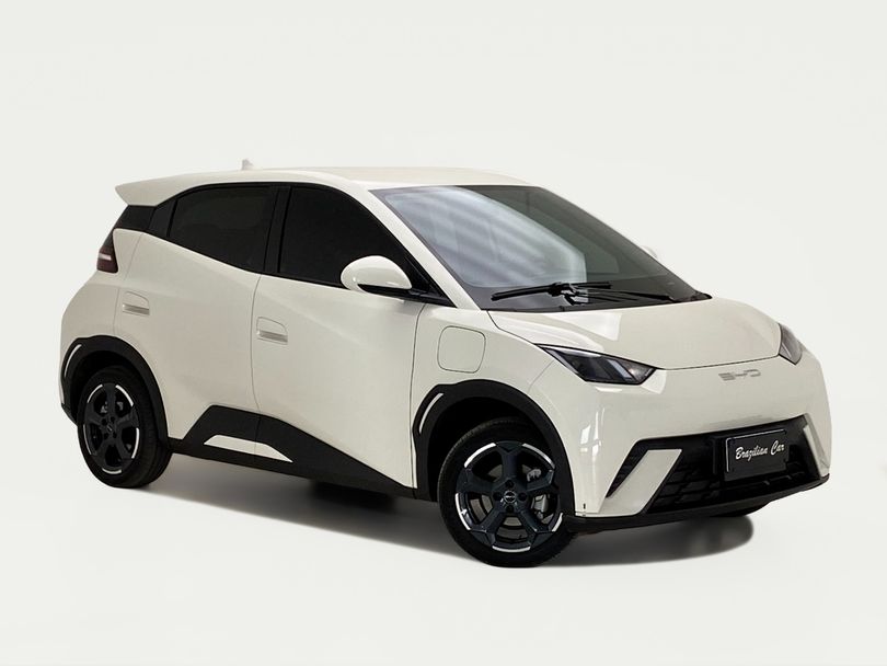 BYD Dolphin Mini (Elétrico)