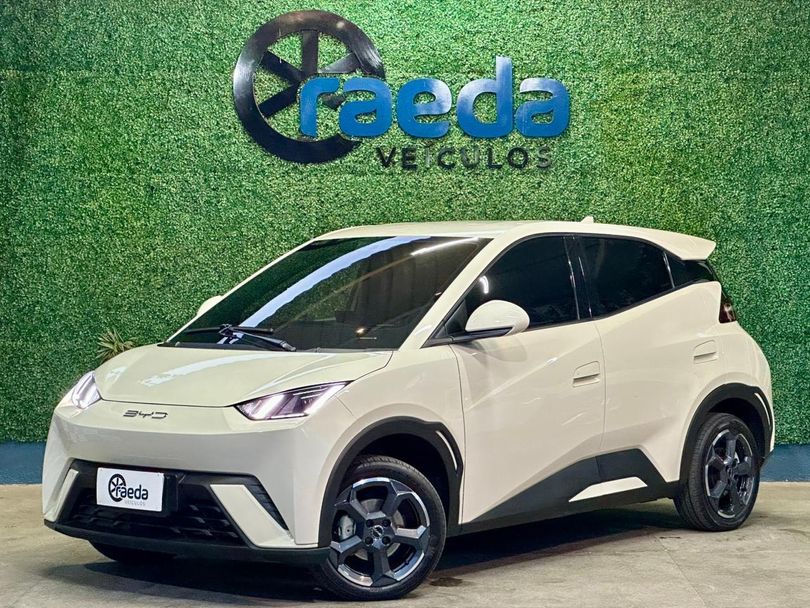 BYD Dolphin Mini (Elétrico)