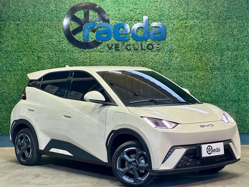 BYD Dolphin Mini (Elétrico)