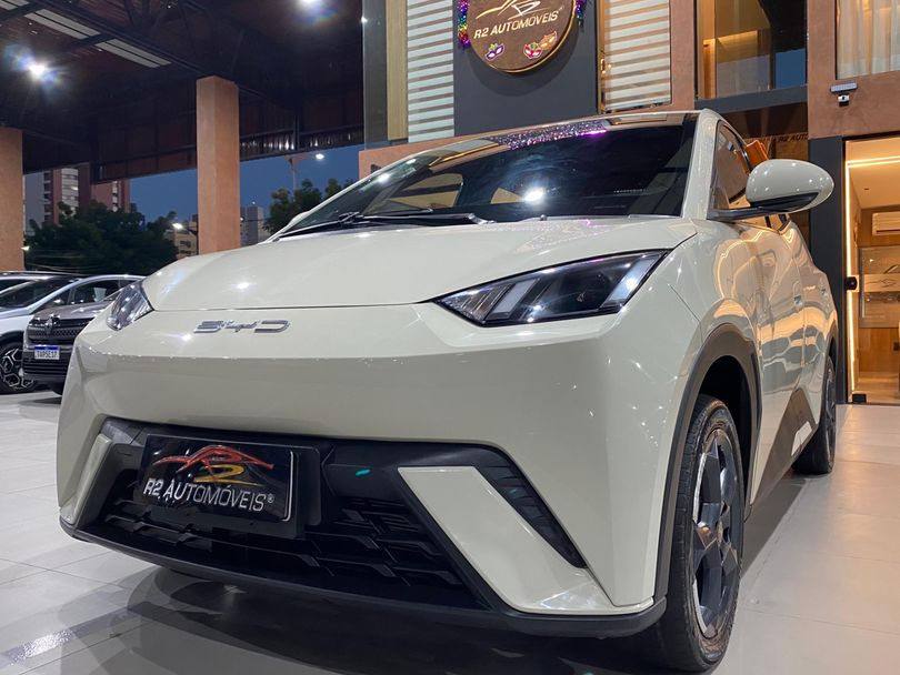 BYD Dolphin Mini (Elétrico)