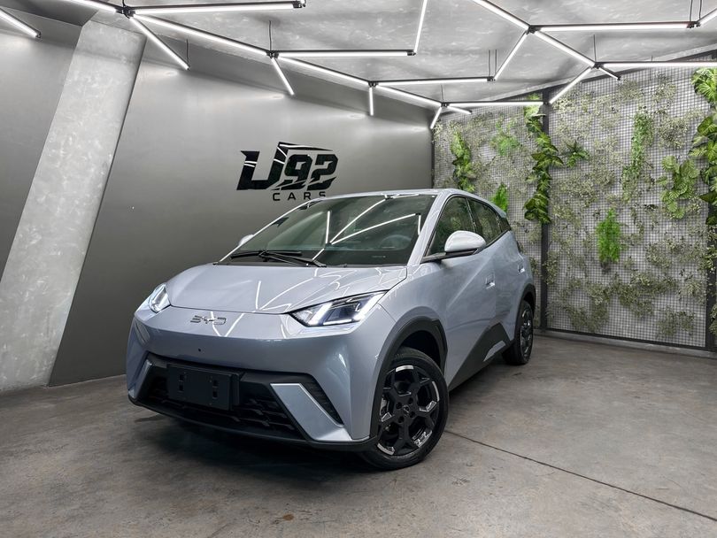 BYD Dolphin Mini (Elétrico)