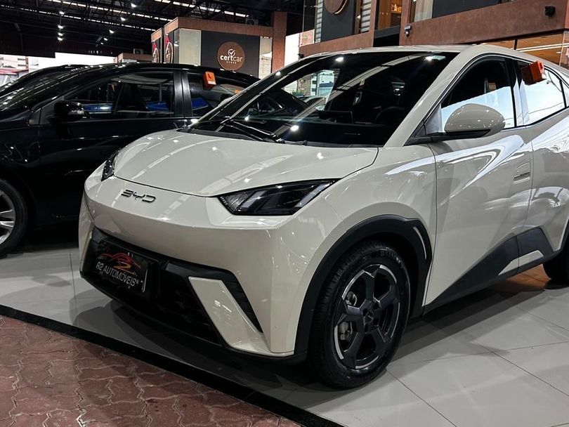BYD Dolphin Mini (Elétrico)
