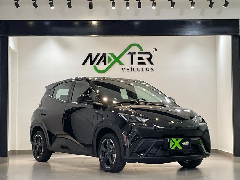 BYD Dolphin Mini (Elétrico)