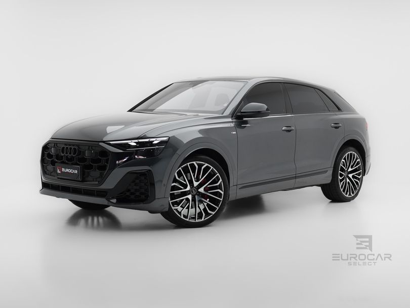 Audi Q8 Perf.Black 3.0 TFSI Quat. S-tr/(Híb.)