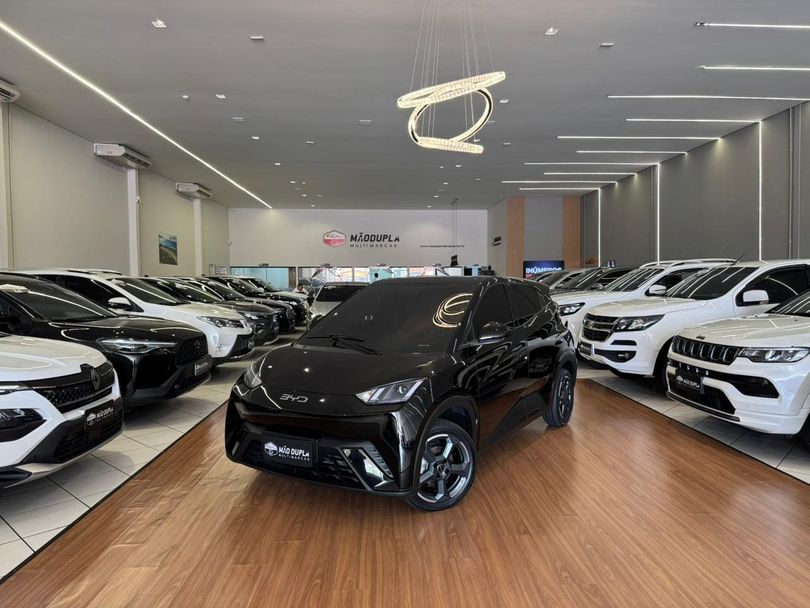 BYD Dolphin Mini (Elétrico)