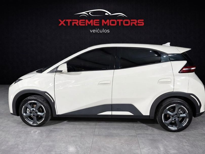 BYD Dolphin Mini (Elétrico)