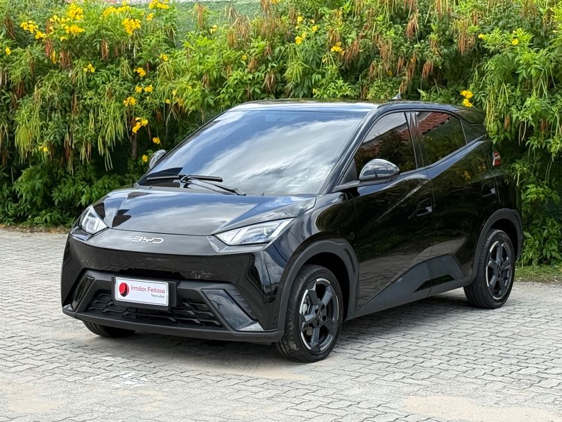 BYD Dolphin Mini (Elétrico)