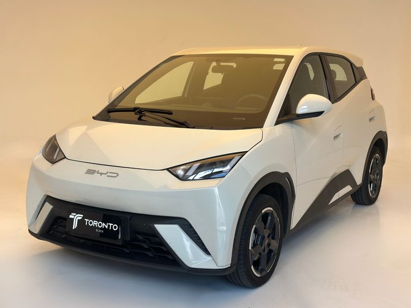 BYD Dolphin Mini (Elétrico)