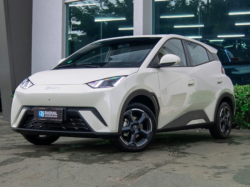 BYD Dolphin Mini (Elétrico)