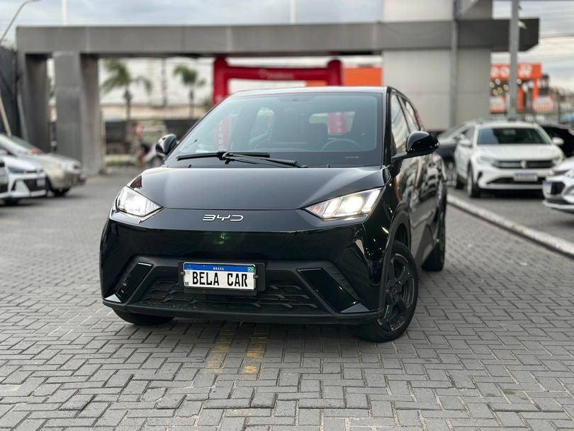 BYD Dolphin Mini (Elétrico)